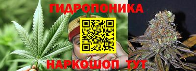 PSILOCYBIN Пугачёв