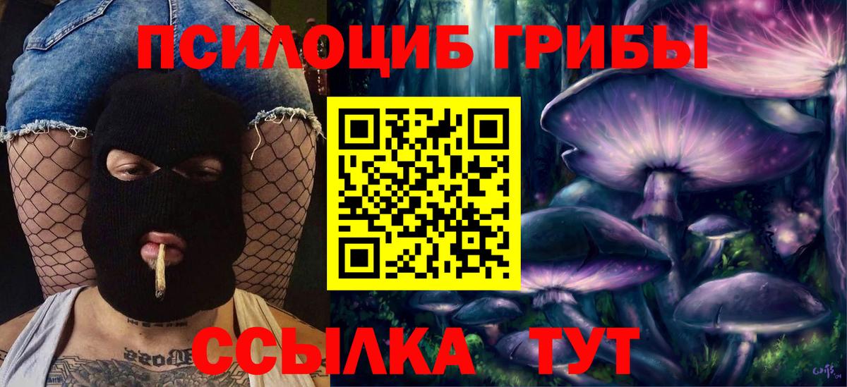 Свободный  Псилоцибиновые грибы ЛСД  Псилоцибиновые грибы Magic Shrooms  Вход с VPN 