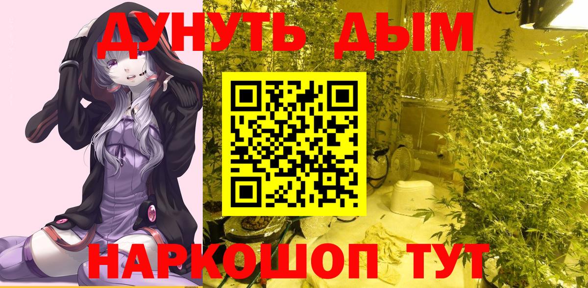 Бошки марихуана AK-47  МАРИХУАНА гибрид  Свободный  Канабис VHQ  Вход с VPN 